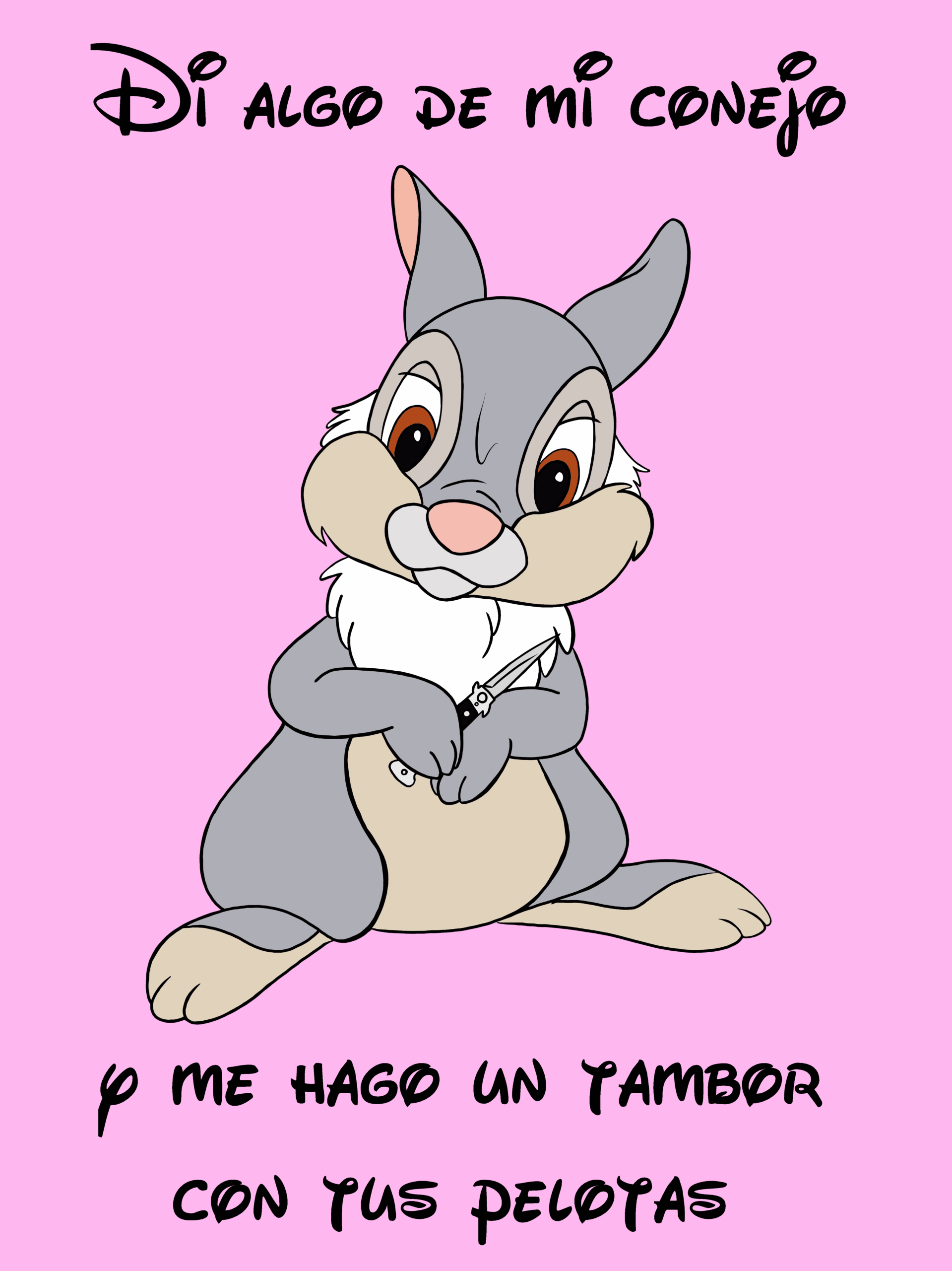 Dibujo rectangular de Tambor (el amigo conejo del cervatillo de la película Bambi) sobre un fondo rosa chicle. Aparece la frase "Di algo de mi conejo y me hago un tambor con tus pelotas" con la tipografía de Disney. "Di algo de mi conejo" aparece encima del conejo "y me hago un tambor con tus pelotas" debajo (también dividida en dos partes, una encima de otra ["y me hago un tambor" encima de "con tus pelotas"]). El conejo es bastante fiel al dibujo original, tanto en los trazos como en los colores, aunque sale frunciendo el ceño, y tiene una navaja automática entre las patas delanteras, y tiene una pose ligeramente amenazante.