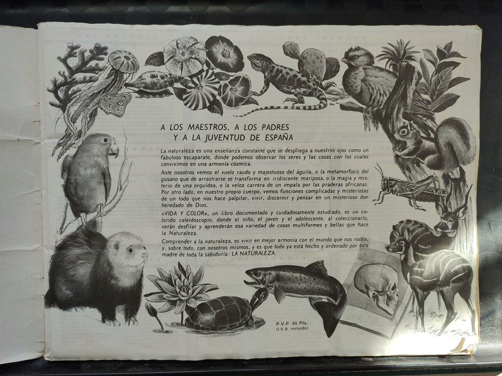 Foto a una página en blanco de un álbum de cromos que muestra desgaste por el tiempo y el uso. Tiene un texto en el centro, que está rodeado de muchos dibujos detallados de distintas especies de seres vivos. El texto del centro muestra el siguiente texto: A LOS MAESTROS, A LOS PADRES Y A LA JUVENTUD DE ESPAÑA La naturaleza es una enseñanza constante que se despliega a nuestros ojos como un fabuloso escaparate, donde podemos observar los seres y las cosas con los cuales convivimos en una armonía cósmica. Ante nosotros vemos el vuelo raudo y majestuoso del águila, o la metamorfosis del gusano que de arrastrarse se transforma en iridiscente mariposa, o la magia y misterio de una orquídea, o la veloz carrera de un impala por las praderas africanas. Por otro lado, en nuestro propio cuerpo, vemos funciones complicadas y misteriosas de un todo que nos hace palpitar, vivir, discernir y pensar en un misterioso don heredado de Dios. "VIDA Y COLOR", un libro documentado y cuidadosamente estudiado, es un colorido caleidoscopio, donde el niño, el joven y el adolescente, al coleccionarlo, verán desfilar y aprenderán esa variedad de cosas multiformes y bellas que hace la Naturaleza. Comprender a la naturaleza, es vivir en mejor armonía con el mundo que nos rodea, y, sobre todo, con nosotros mismos, y es que todo ya está hecho y ordenado por esta madre de toda la sabiduría: LA NATURALEZA." Más abajo se puede ver la inscripción: P.V.P. 95 Pts. (I.V.A. incluido)