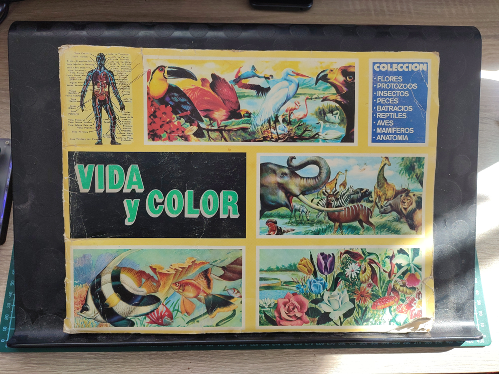 Foto de la portada de un álbum de cromos apaisado de un color amarillo apagado, en el que salen 3 líneas de viñetas que vienen a ocupar casi la totalidad del ancho de la portada. En la línea superior: - Viñeta pequeña (1/5 del ancho) con una silueta humana mostrando la Circulación mayor. - Viñeta grande (3/5 del ancho) con varias aves ((diversas especies de diversos hábitats) con un fondo verde con montañas y un lago. - Viñeta pequeña (1/5 del ancho) con un texto que indica en varias líneas: "COLECCION * FLORES * PROTOZOOS * INSECTOS * PECES * BATRACIOS * REPTILES * AVES * MAMIFEROS * ANATOMIA" En la línea del medio se ven 2 viñetas que ocupan cada una la mitad del ancho. La de la izquierda es negra con letras grandes y verdes poniendo "VIDA Y COLOR". La de la derecha muestra una escena con varios animales de la sabana. La línea inferior tiene otras 2 viñetas (también de la mitad del ancho de la portada, cada una). La de izquierda muestra algunos peces y especies marinas. La de la derecha incluye muchas y variadas flores.